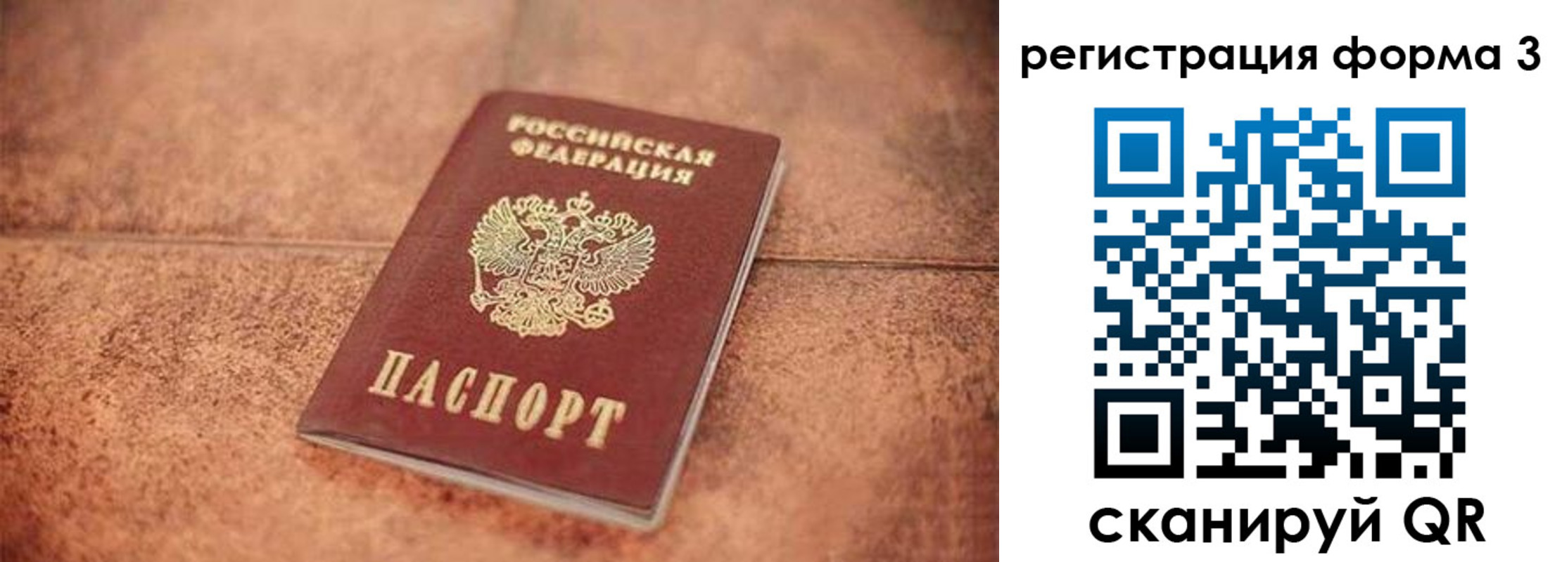 купить прописку в Владимирской области